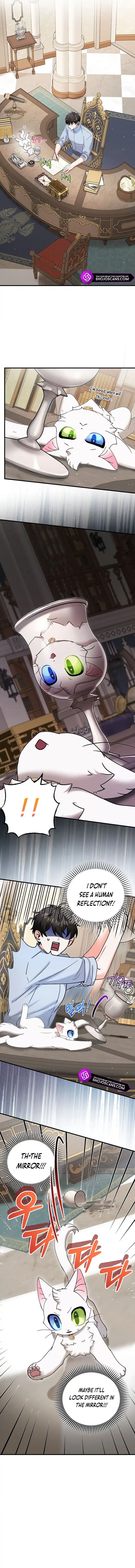 I Became the Emperor’s Cat Chapter 22 - Page 7