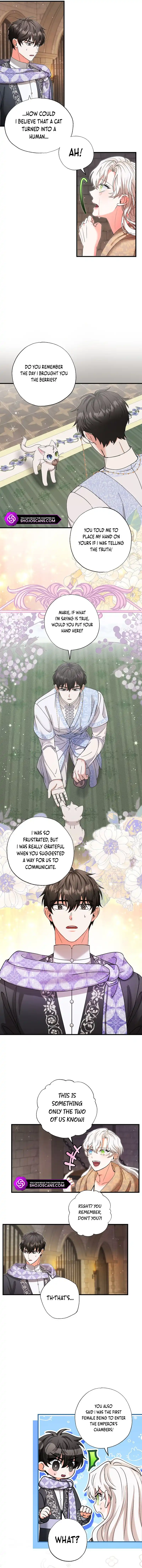 I Became the Emperor’s Cat Chapter 24 - Page 10