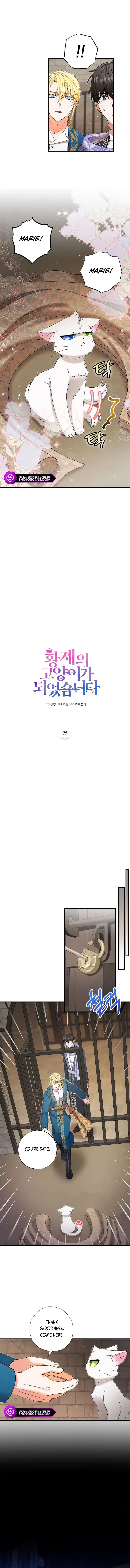 I Became the Emperor’s Cat Chapter 25 - Page 3