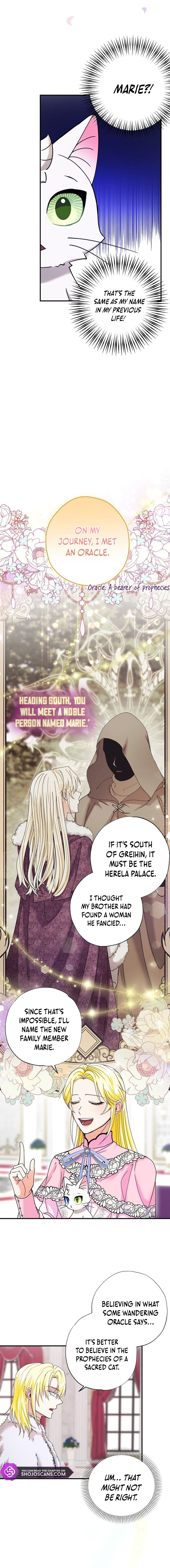 I Became the Emperor’s Cat Chapter 3 - Page 8