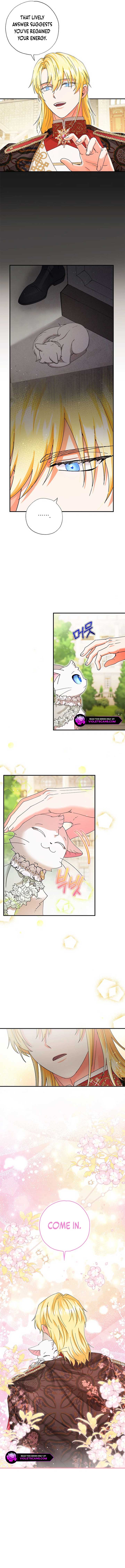 I Became the Emperor’s Cat Chapter 32 - Page 2