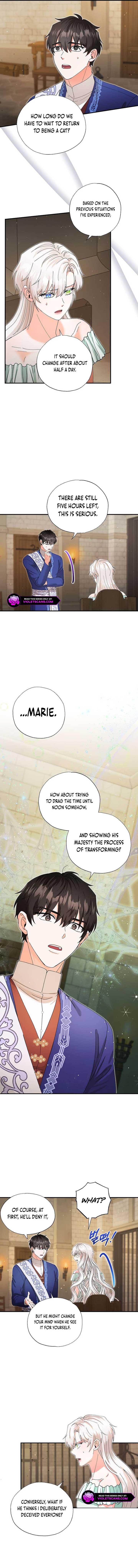 I Became the Emperor’s Cat Chapter 34 - Page 5