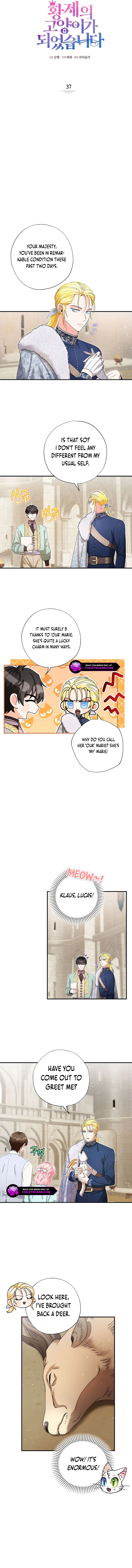 I Became the Emperor’s Cat Chapter 37 - Page 2