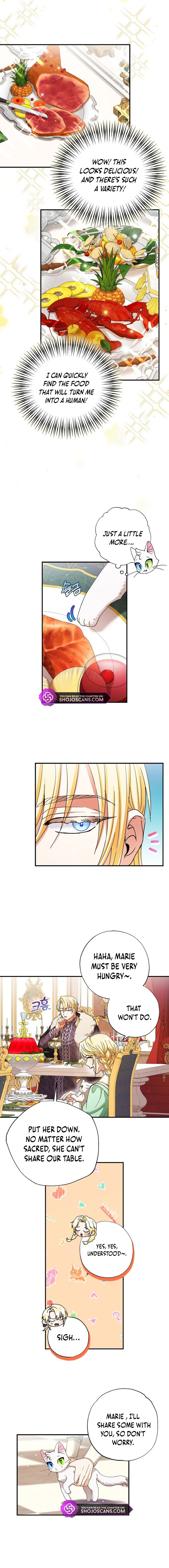 I Became the Emperor’s Cat Chapter 4 - Page 3