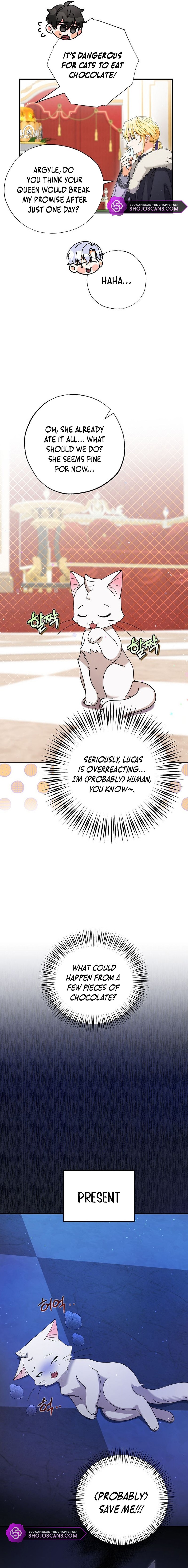 I Became the Emperor’s Cat Chapter 4 - Page 7