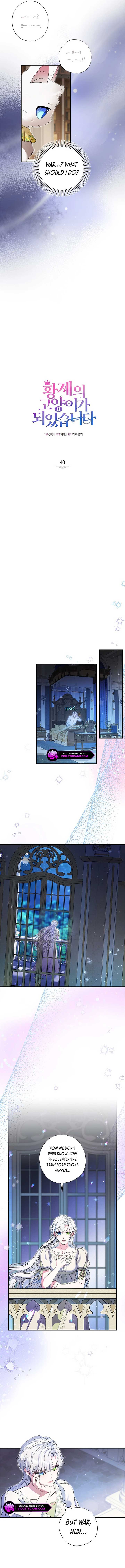 I Became the Emperor’s Cat Chapter 40 - Page 5