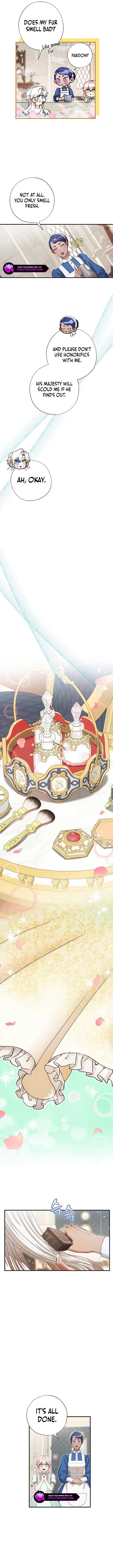 I Became the Emperor’s Cat Chapter 42 - Page 5