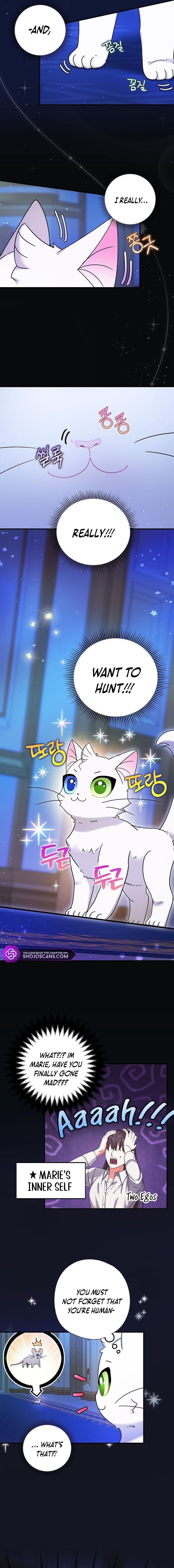 I Became the Emperor’s Cat Chapter 5 - Page 13