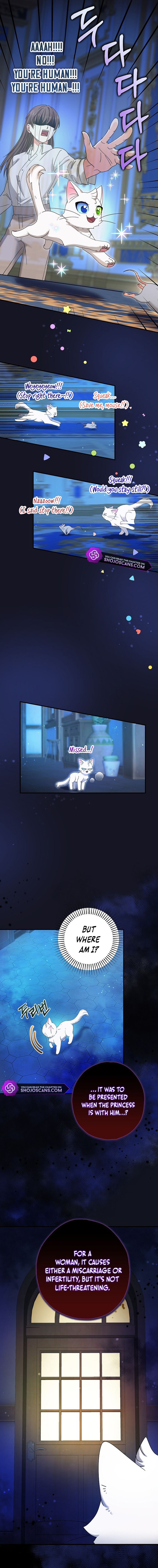 I Became the Emperor’s Cat Chapter 5 - Page 14