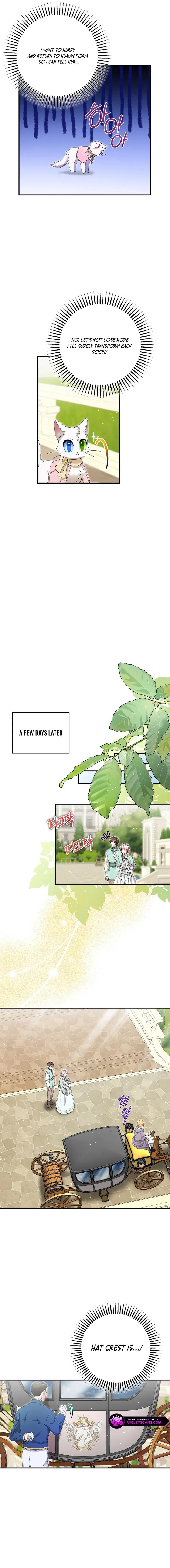 I Became the Emperor’s Cat Chapter 52 - Page 4