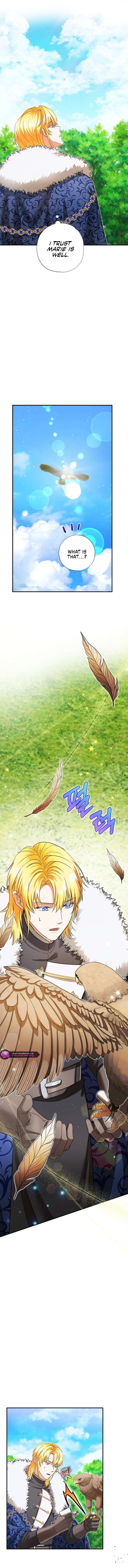 I Became the Emperor’s Cat Chapter 65 - Page 12