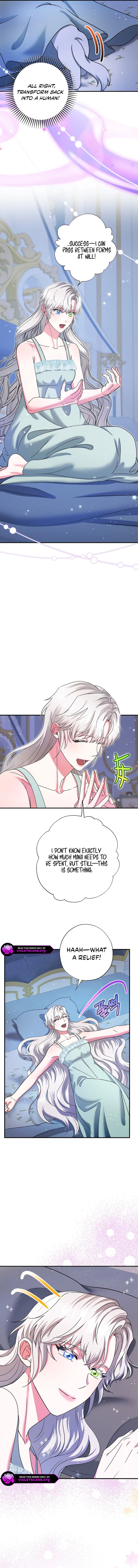 I Became the Emperor’s Cat Chapter 72 - Page 12