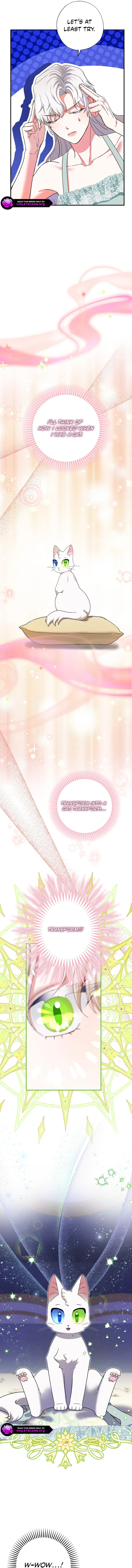 I Became the Emperor’s Cat Chapter 72 - Page 9