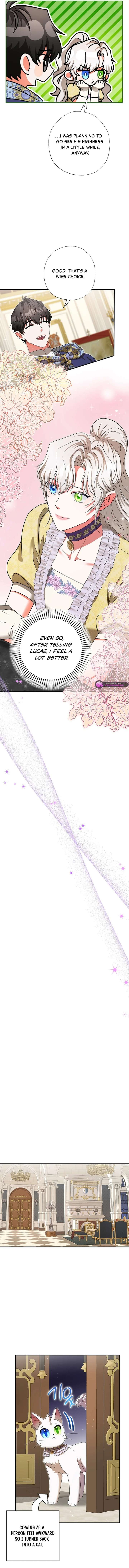 I Became the Emperor’s Cat Chapter 74 - Page 8