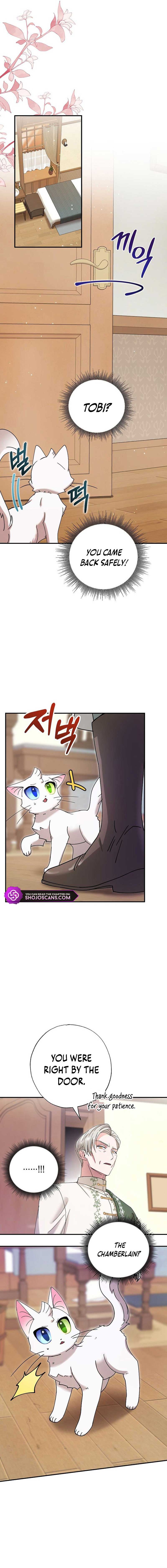 I Became the Emperor’s Cat Chapter 8 - Page 10