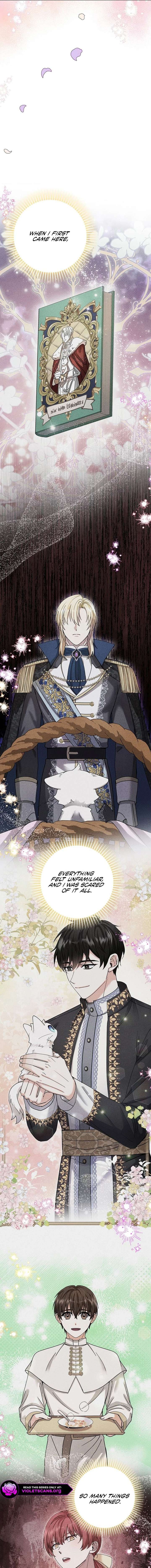 I Became the Emperor’s Cat Chapter 81 - Page 8