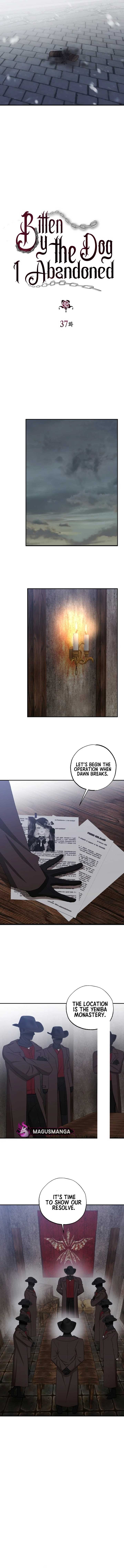 Bitten by the Dog I Abandoned Chapter 37 - Page 2