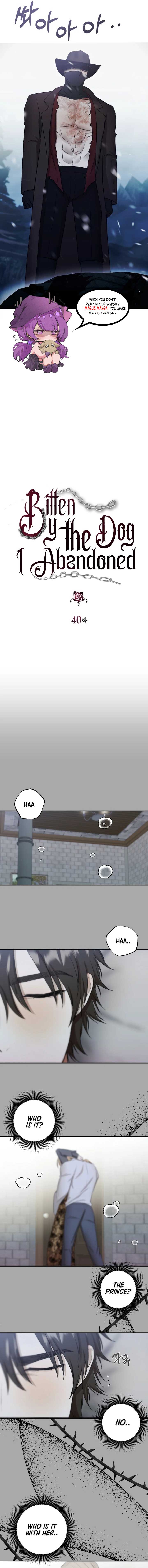 Bitten by the Dog I Abandoned Chapter 40 - Page 9