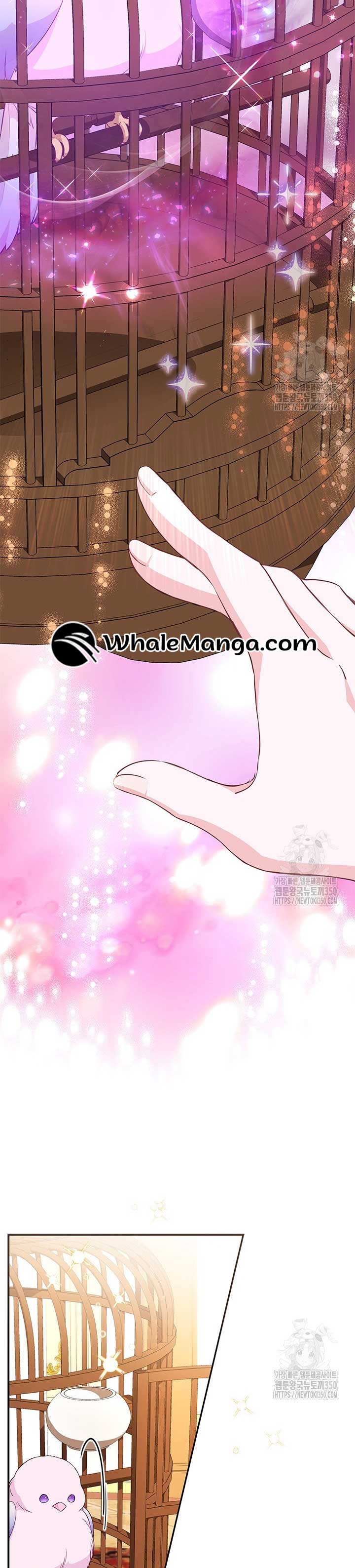 Why Do You Love Me When I Refuse Your Request? Chapter 24 - Page 17