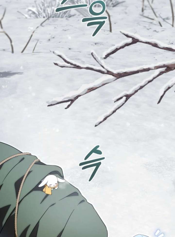 Baby Dragon to the Duke’s Rescue Chapter 14 - Page 63