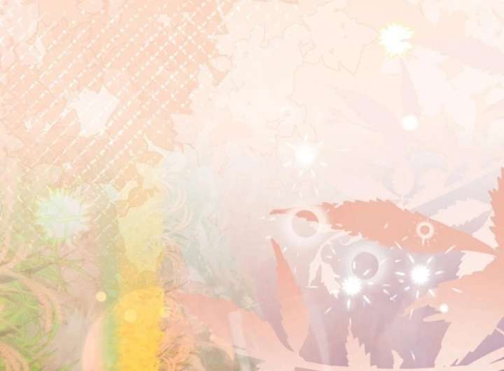 The Seventh Marriage Awaits Chapter 16 - Page 93