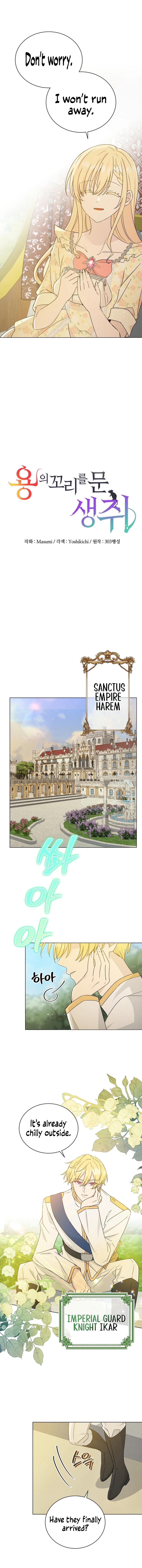 A Mouse Biting a Dragon’s Tail Chapter 3 - Page 8