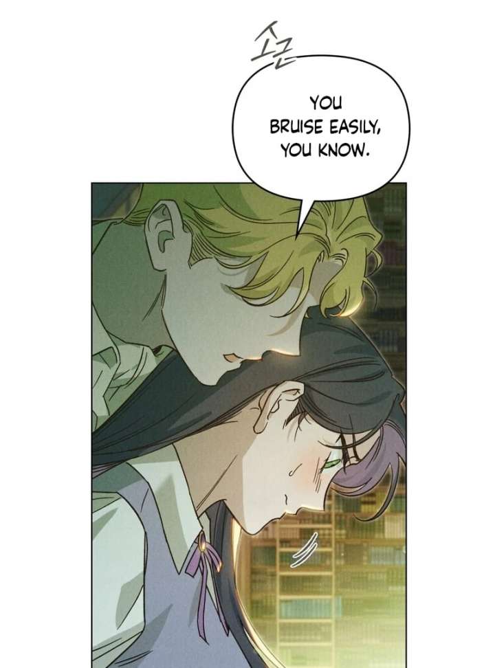 The Butterfly That Swallowed the Mist Chapter 12 - Page 3