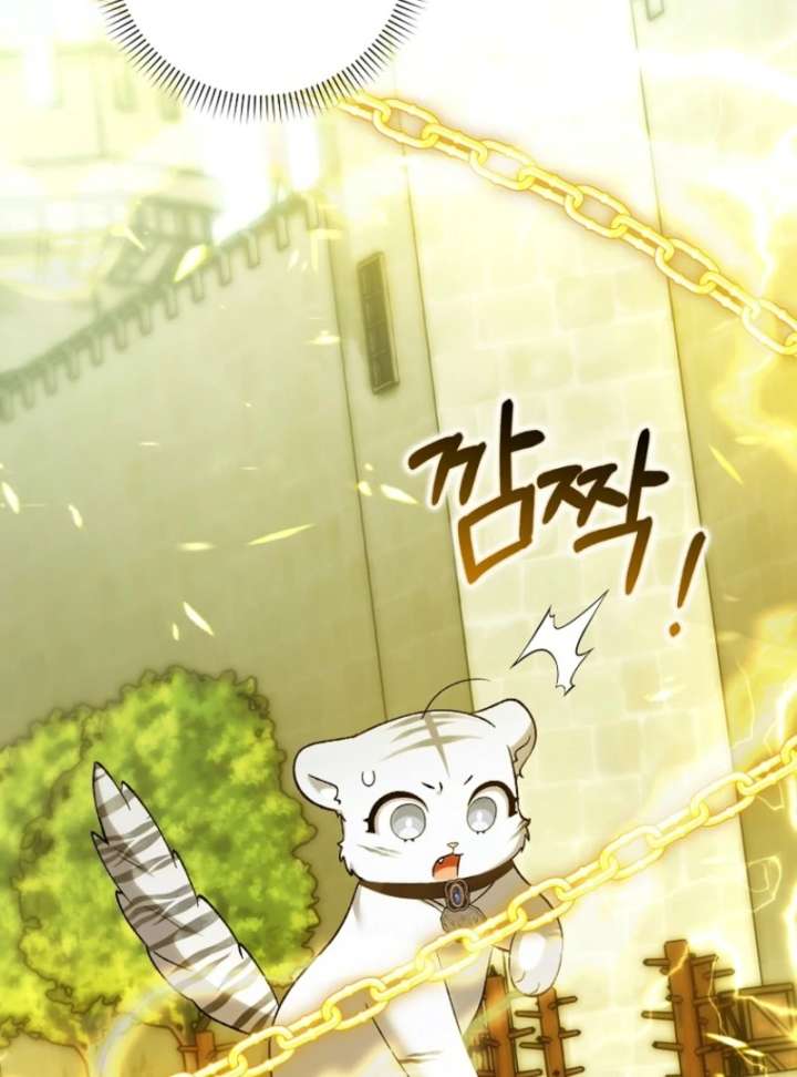 The White Tiger Princess is Not in Danger Chapter 20 - Page 74