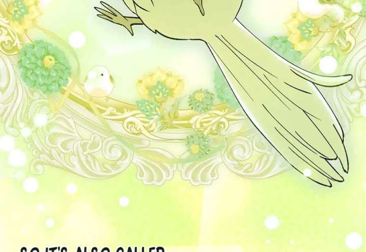 The White Tiger Princess is Not in Danger Chapter 25 - Page 83