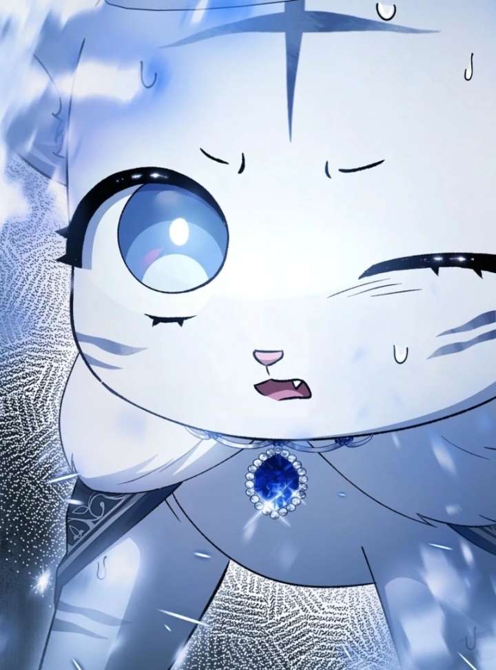 The White Tiger Princess is Not in Danger Chapter 8 - Page 141