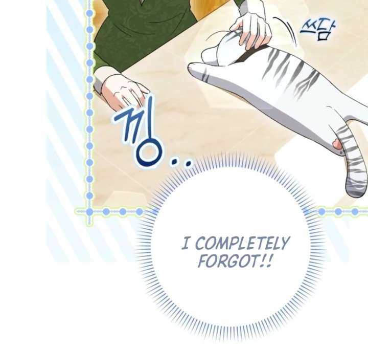 The White Tiger Princess is Not in Danger Chapter 8 - Page 15