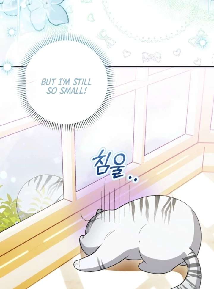 The White Tiger Princess is Not in Danger Chapter 8 - Page 5