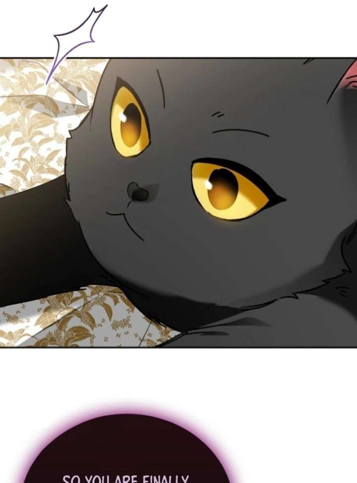 The Lady Who Hides the Zombies Chapter 5 - Page 102