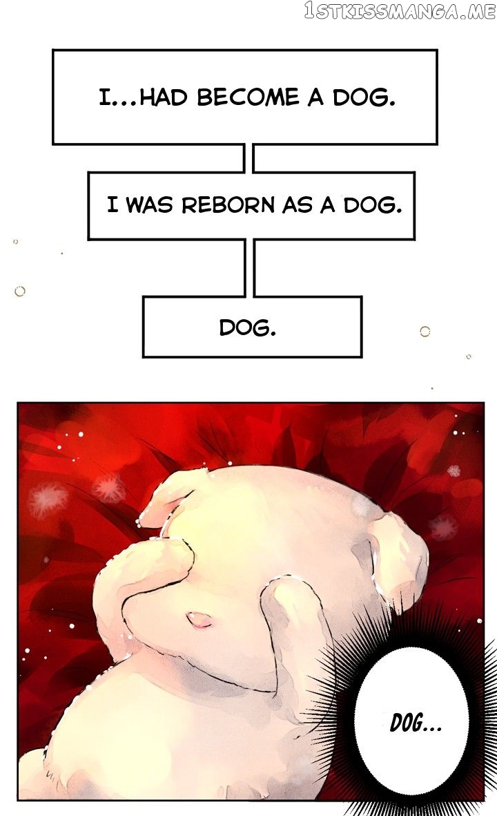 The Emperor’s Dog Chapter 0 - Page 11