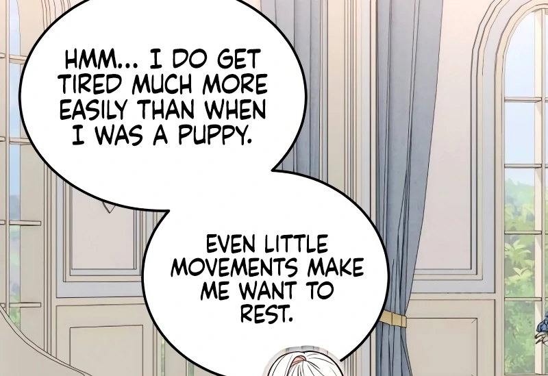 The Emperor’s Dog Chapter 31 - Page 12