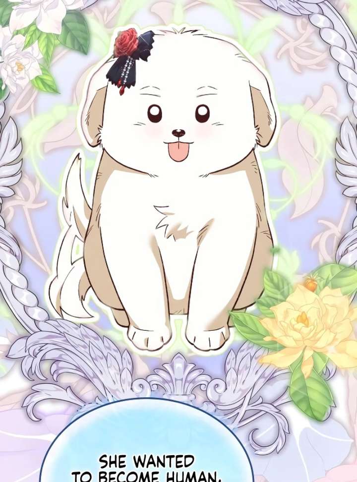 The Emperor’s Dog Chapter 42 - Page 30