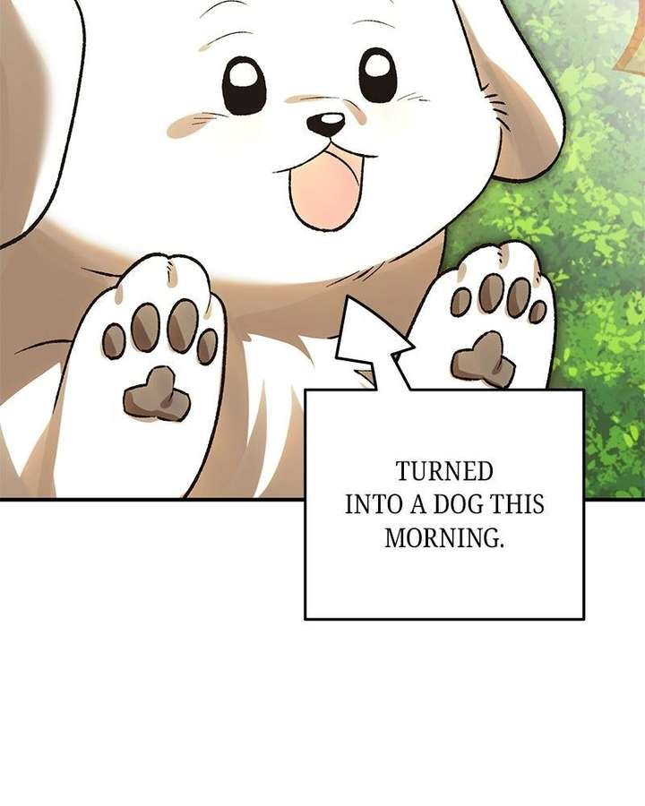 The Emperor’s Dog Chapter 52 - Page 73