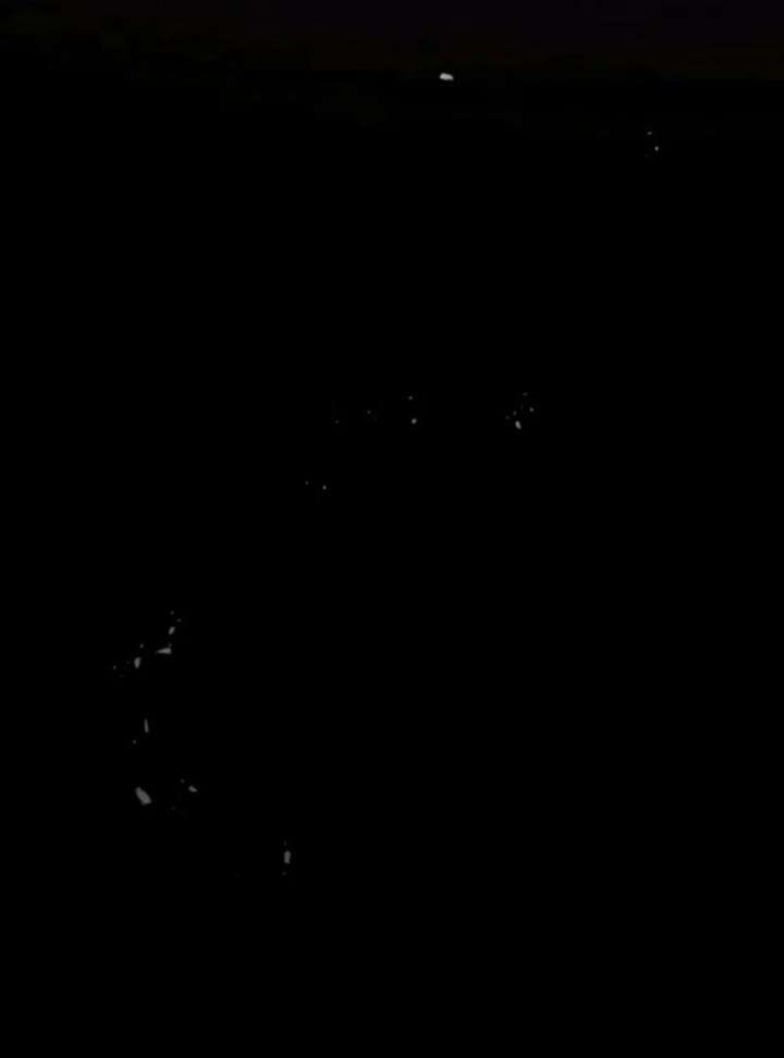 A Beast Swallowed by a Flower Chapter 105 - Page 101