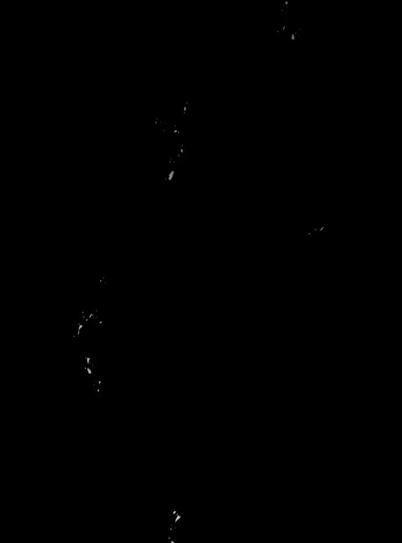 A Beast Swallowed by a Flower Chapter 115 - Page 55