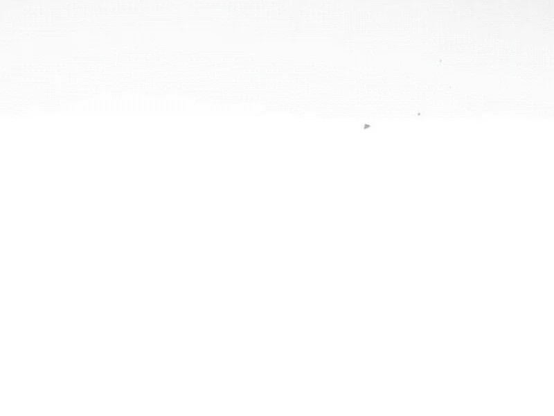 A Beast Swallowed by a Flower Chapter 91 - Page 79