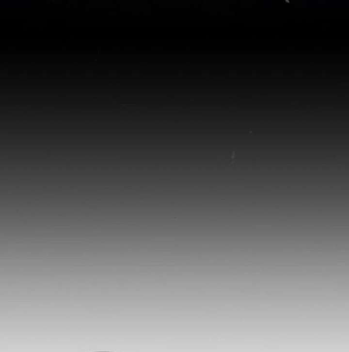 A Beast Swallowed by a Flower Chapter 98 - Page 14