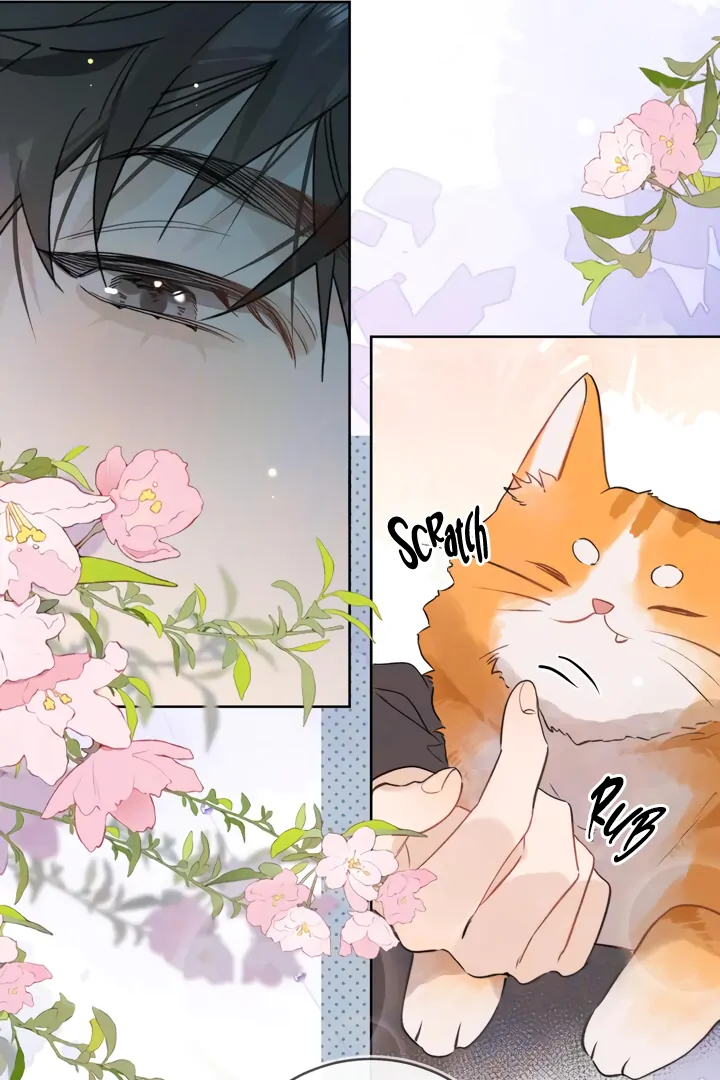 Confession Chapter 47 - Page 43