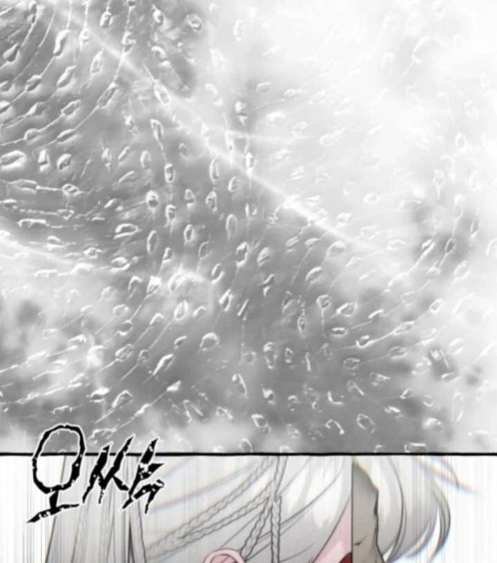 North Snow Love Story Chapter 65 - Page 27