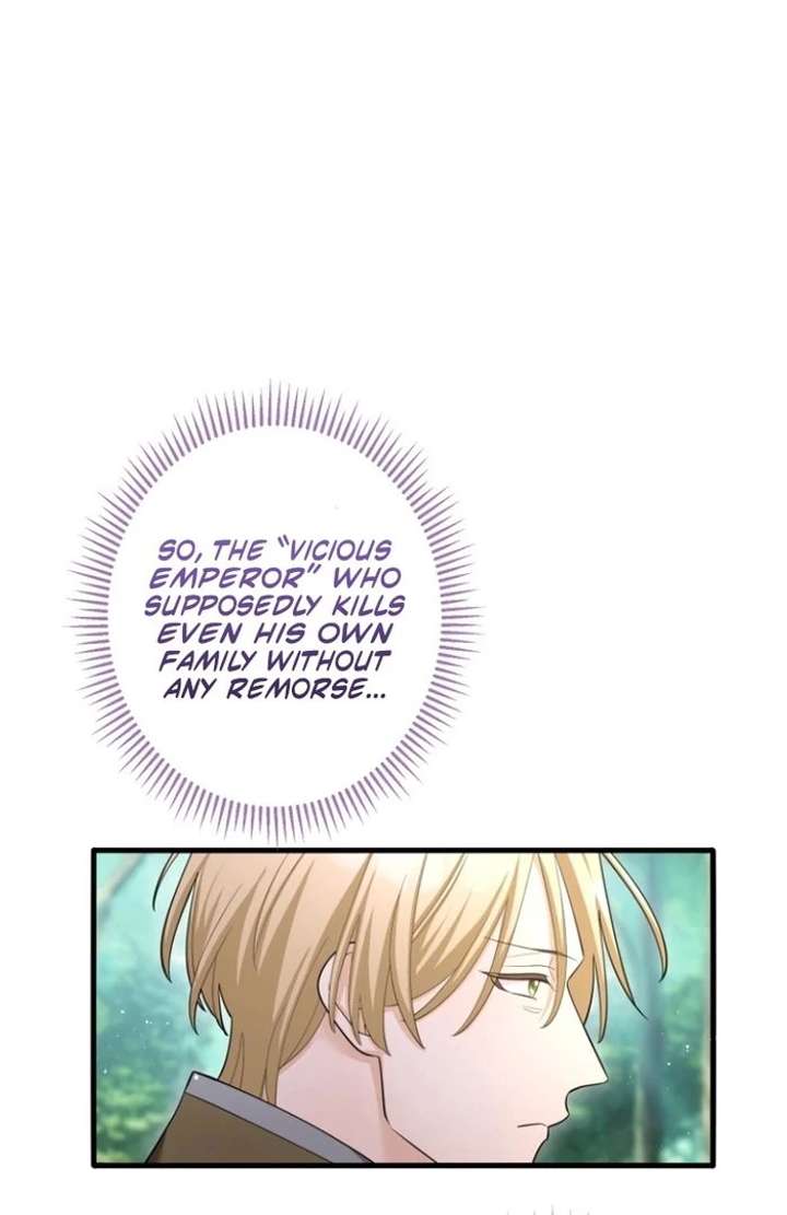 The Villainous Emperor and the Beloved Family Plan Chapter 30 - Page 34