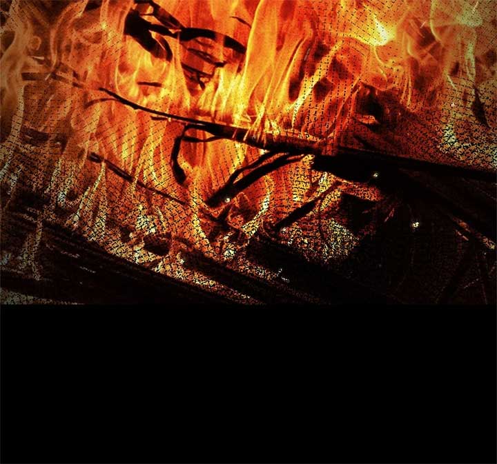 The Beloved Gardener of the World Tree Chapter 1 - Page 48