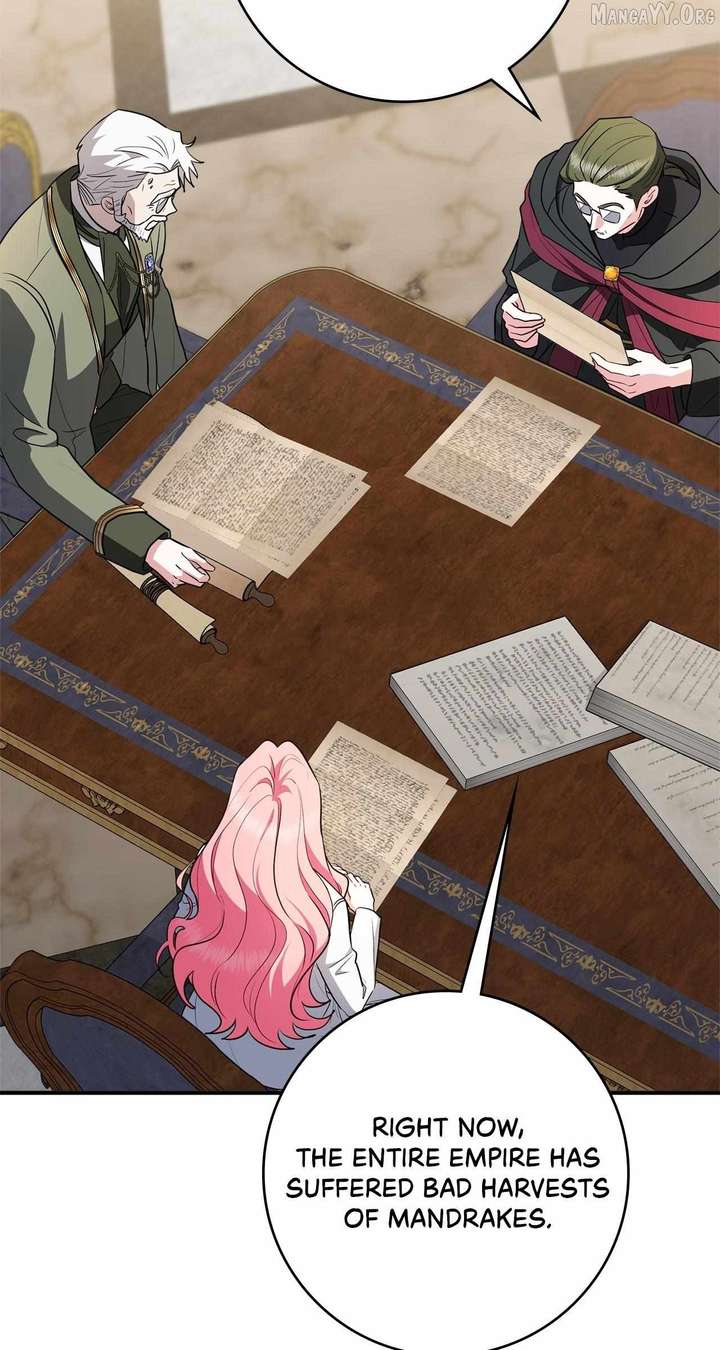 The Beloved Gardener of the World Tree Chapter 29 - Page 17