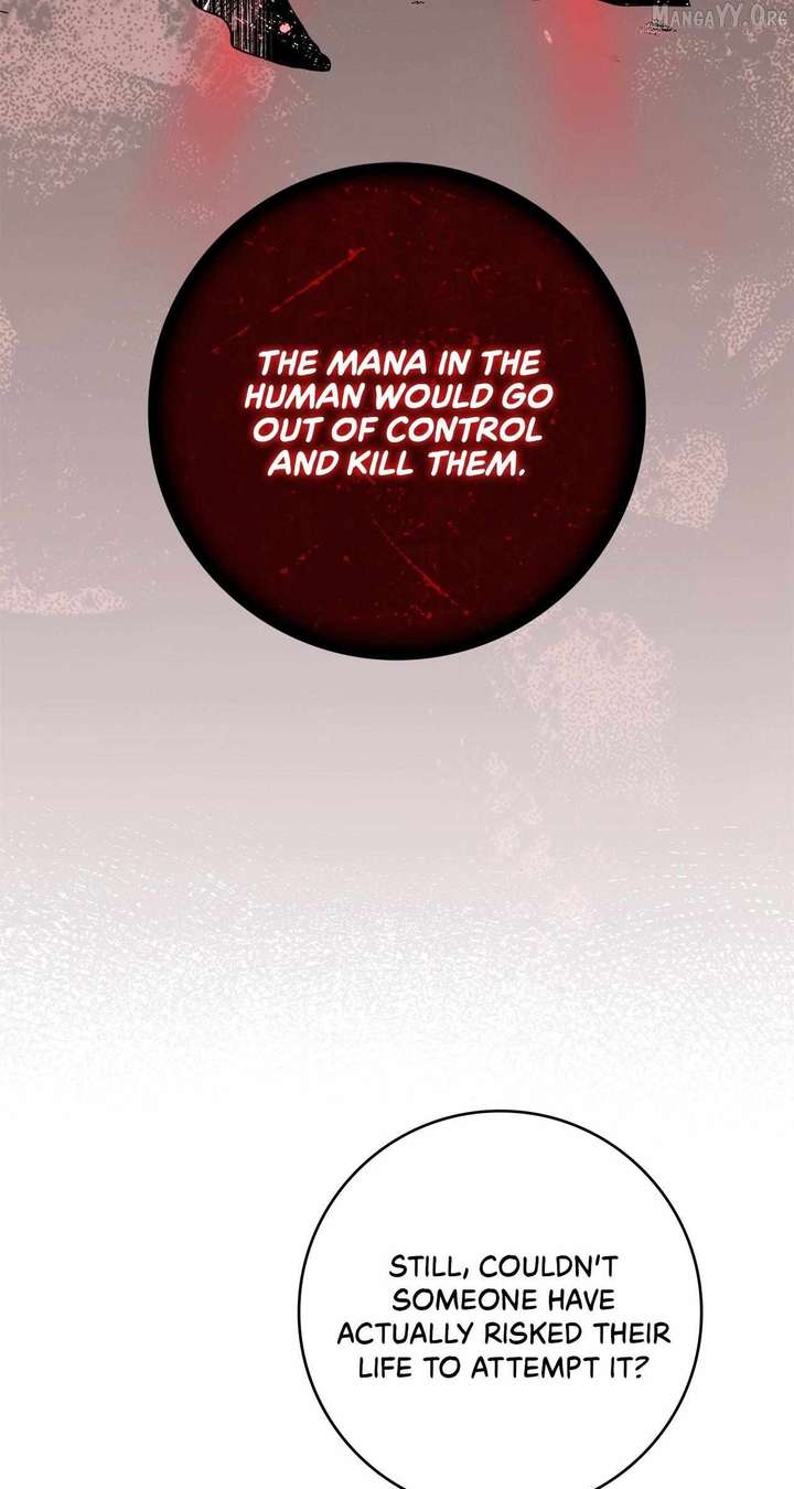 The Beloved Gardener of the World Tree Chapter 29 - Page 25