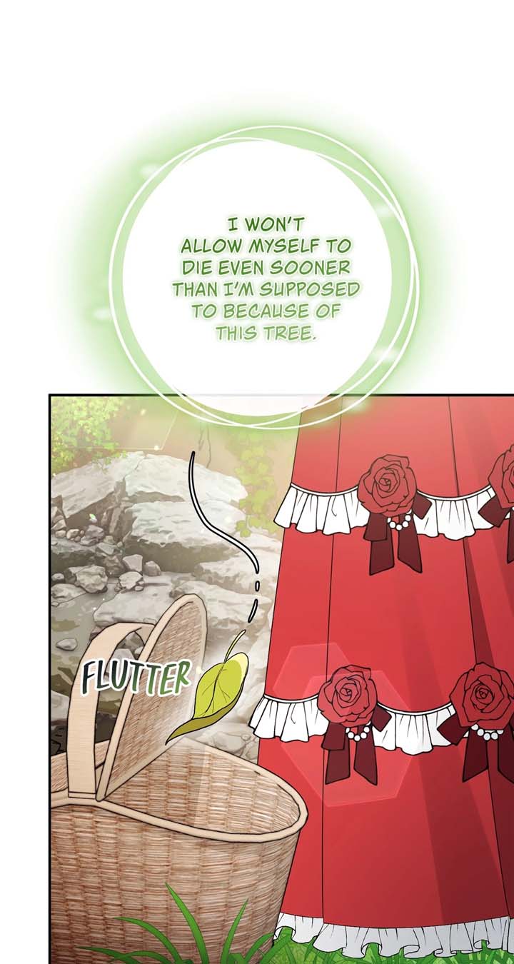 The Beloved Gardener of the World Tree Chapter 3 - Page 75