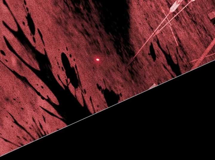 Her Majesty’s Night Chapter 5 - Page 24