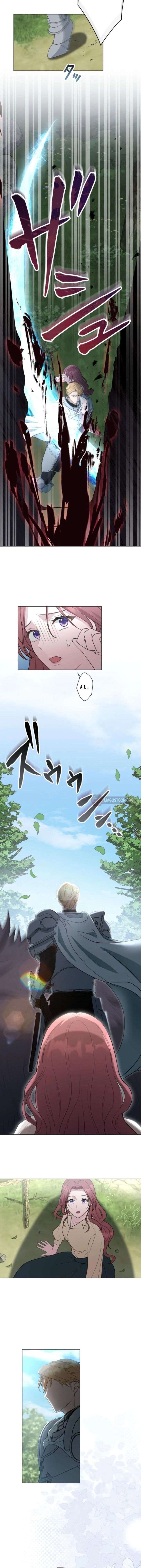 The Falsely Accused Villainess Can’t Escape the Knight! Chapter 1 - Page 13